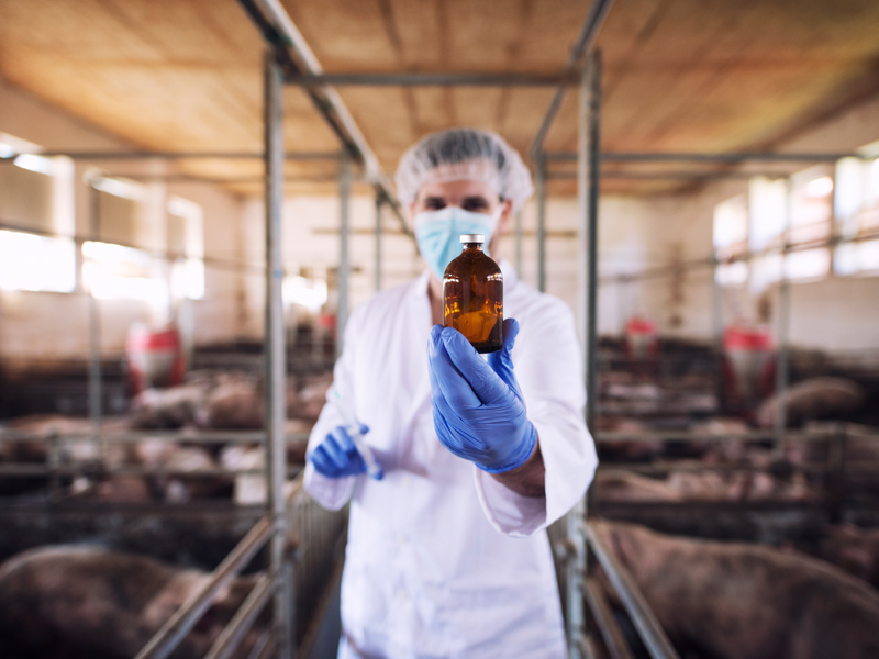 1700546263 87 آگهی سالم ترین روغن خوراکی در ایران را بشناسید