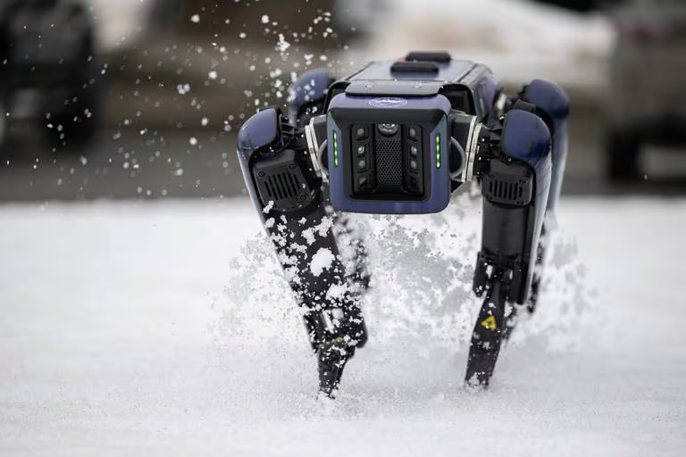 ربات چهارپای «اسپات» برای ترساندن حیوانات استخدام شد!