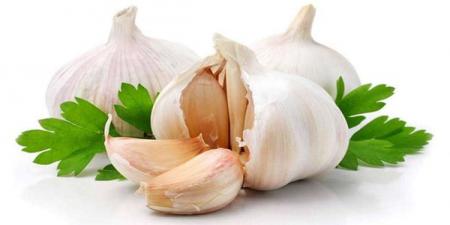 سیر خام بخوریم خاصیت بیشتری برایمان دارد یا سیر پخته؟