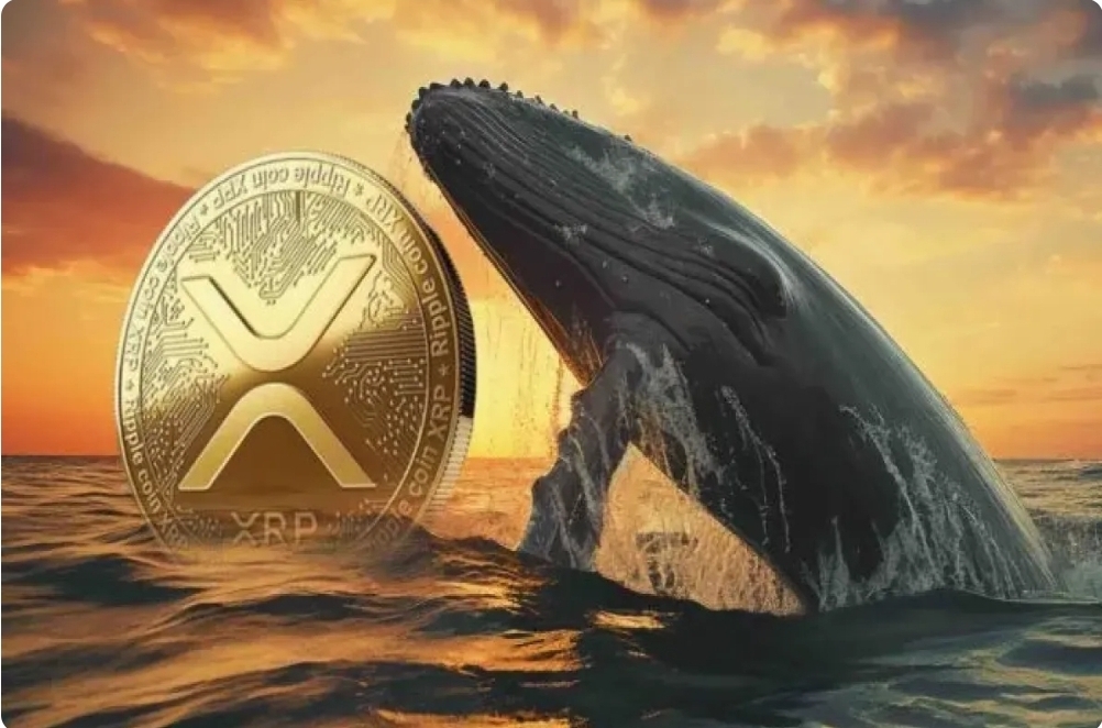 افزایش فعالیت نهنگ‌ها در ریپل / پیش‌بینی حرکات قیمتی جدید