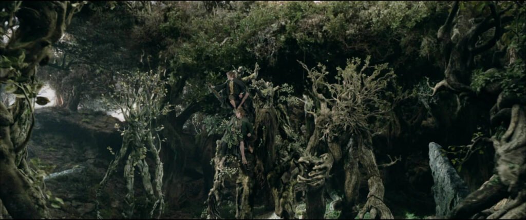 1746704518 651 درختان کاج پیش از خورشیدگرفتی با یکدیگر صحبت می‌کنند فرنگی