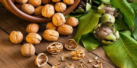 مصرف گردو خطر ابتلا به این سرطان را کاهش می‌دهد