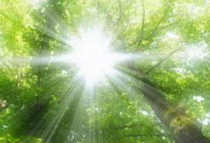 نور خورشید؛ ویتامین رایگان برای مغز و روح